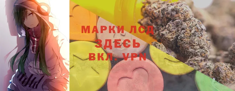 хочу   Всеволожск  ЛСД экстази ecstasy 